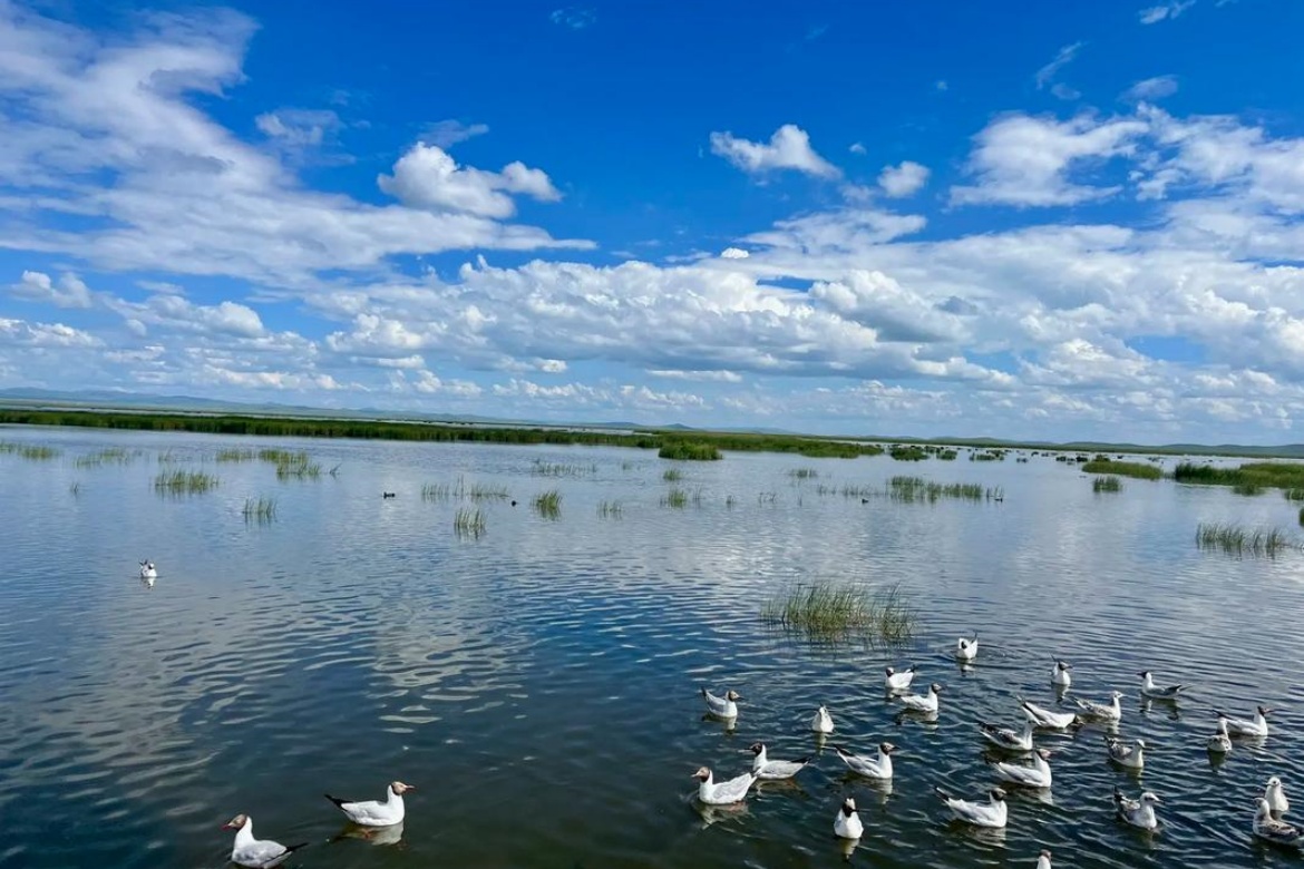 Zoige Wetland